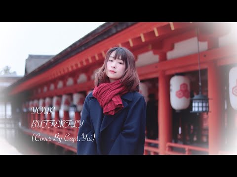 [FMA Parfait]-Your Butterfly - Cover By Capt.Yui