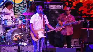 Kenny Neal - Bloodline