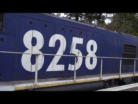 Blue Mountians - Quad 82's with a PN loaded coalie - 6/6/17