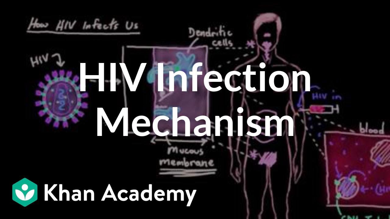 How HIV infects us: Mucous membranes, dendritic cells, and lymph nodes | Khan Academy