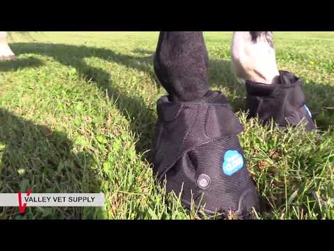 Easyboot Cloud Therapeutic Hoof Boots