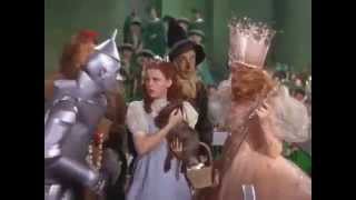 You&#39;ve always Had the Power my Dear - Glinda (Wizard of Oz)