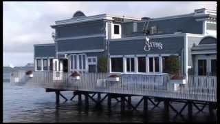 Red Hot Chili Peppers - Warm Tape