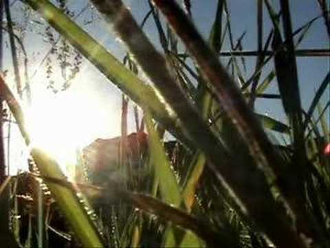 colin rudd - cottage of lost play