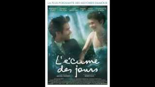 Mood Indigo (film review)