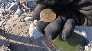Beach Metal Detecting New Hampshire Somebody found some Awesome Coins!