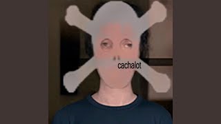 Cover art for Cachalot
