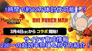 【時給 約12万体討伐！】サイタマLv230からの超効率狩場「影が躍る場所2」 #メイプルストーリー