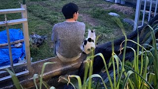 オカルト都市伝説、歴史、政治を語りながら畑をやる！