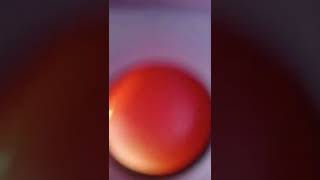 Download lagu ot citra musik pernikahan Mus dan Evi mp3