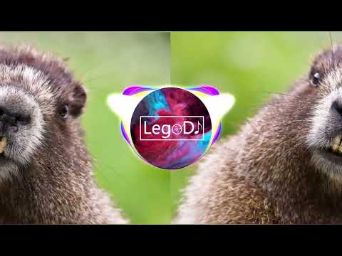 DANIEL V & NORBSON x BVX - VHUJEK INSTRYBUTOR-BOBER (leguś ŚMIECHAWA mix) 2222