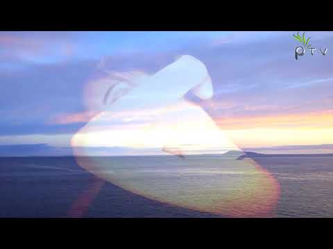 Andy van Kayne   Azure Dreamland Ikerya Project Remix  Official Music Video