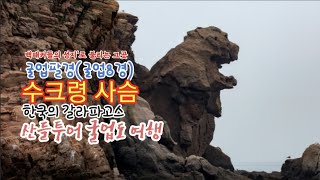 굴업도 한국의갈라파고스 스크령 개머리언덕 1박2일 여행 스토리 동영상