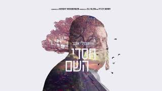 Chasdei Hashem - Shmueli Ungar | חסדי השם- שמילי אונגר