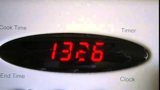 Cockroaches in the oven clock
