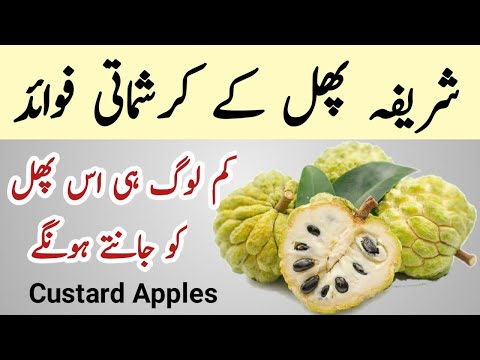 Amazing health benefits of Custard Apples//Custard Apple,Custard apple juice//Sharifa Phal Ke fayde