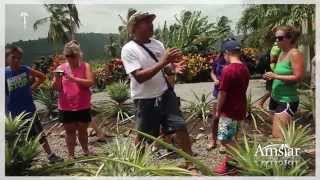 Outback Safari Tour | Amstar Punta Cana