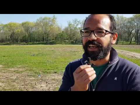 Parco Porto di Mare, oltre al boschetto della droga c'è molto di più