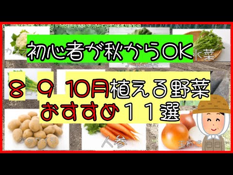  9月に蒔く種は何でしょうか？ 10種類の野菜と花が旬を迎えます！  庭園