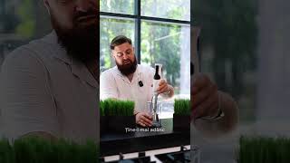 Blender Bosch MSM4W221 Alb — Recenzie video