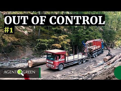 OUT OF CONTROL #ep1 Domogled-Valea Cernei national Park