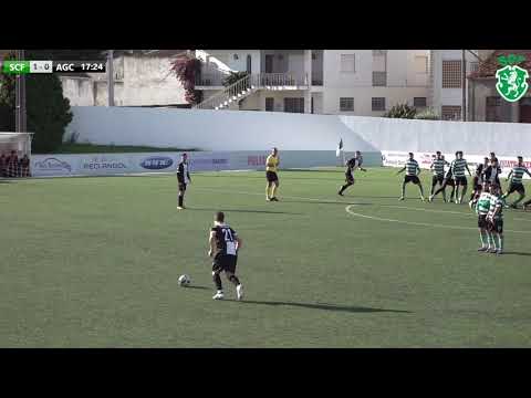 Todos os Golos ⚽ SC Fermentelos Vs Argoncilhe