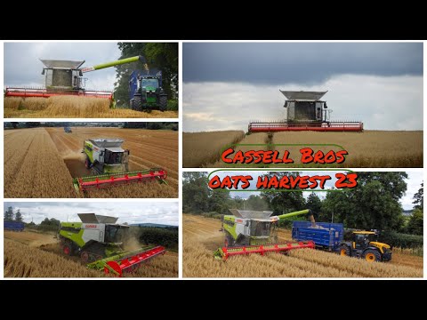 Cassell Bros ~ Oats harvest 2023~ Claas Lexion 8700 & JCB fastrac 4220 ~ 4k