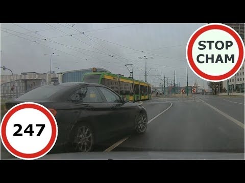 Stop Cham Ku przestrodze #247