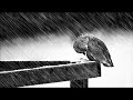 Suicide Commando - Until We Die (Winter Version)