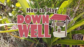 How to Play Down the Well, by James Ernest