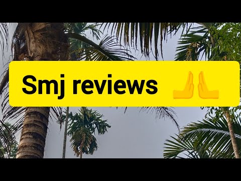 🎒🎒🎒🎒🛍️🛍️🛍️👝👝🛍️ | നന്ദുവിന്റെ മുൻപിൽ വെച്ച് പുഴയിലേക്ക് ചാടി അനി | 6/02/25 | gggg review pl2323