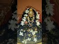 Karunamayi Kripa Mayi Meri Daya Mayi Radhe ️