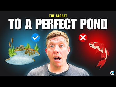WHY WE MAINTAIN PONDS EVERY 2 WEEKS!