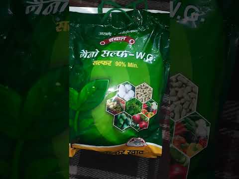 Dayal Sulphur 90% WG, For Agriculture Usage, 1KG - 3KG