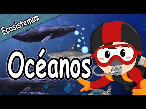 ¿Qué son los océanos? | Video educativo