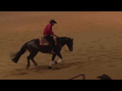 170225 Peter DeFreitas on little Rooster Spark Open