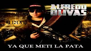 Alfredo Olivas - Ya Que Meti La Pata (Estudio 2013).
