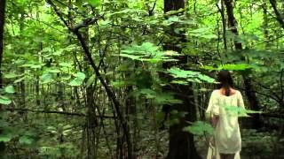 Current 93 - Baalstorm! Baalstorm!