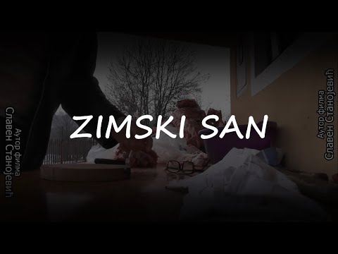Zimski san