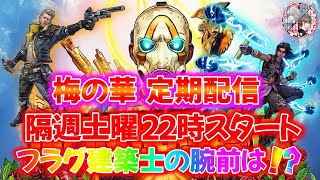 『最終回』#12【ボーダーランズ3】 メインミッション攻略中!! 　チャプター21「巨人の足跡」～