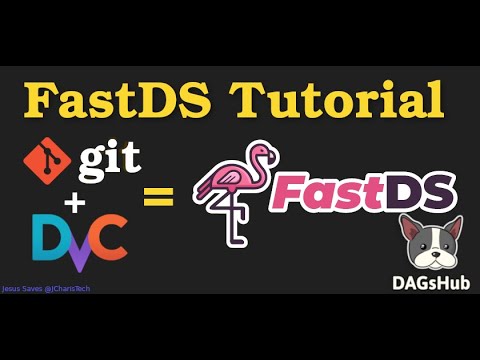 Using FastDS For Data Version Control  (Dagshub Tutorial)