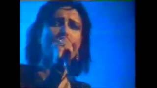 Siouxsie &amp; The Banshees  - Helter Skelter - Live 1983