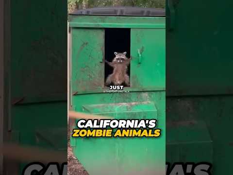California's Zombie Animals Exposed