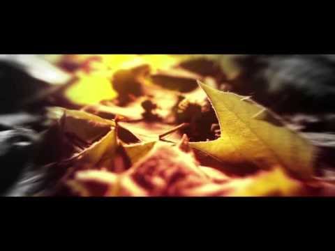 Golden Leaves Festival 2013 - 4. Teaser