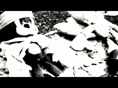 The Sonic Plush Show MV - Hero