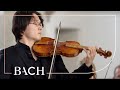 Bach - Erbarme dich, mein Gott from St Matthew Passion BWV 244 | Netherlands Bach Society