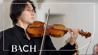 Kadr z teledysku BWV 244 Matthäus Passion 39: Erbarme dich, mein Gott tekst piosenki Johann Sebastian Bach