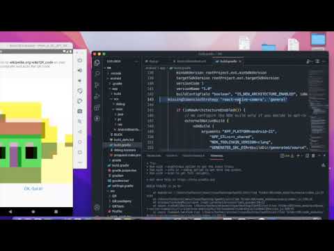 CPE451 Week13 React Native (QR code scanner)