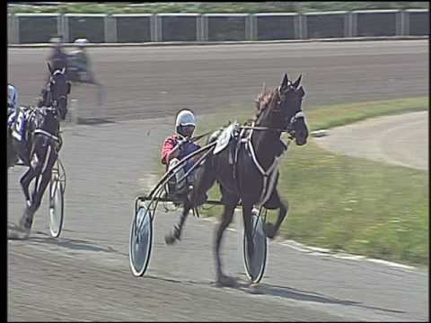 Trotto 11/06/2016 - 3° corsa