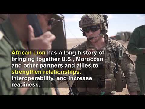 African Lion 2021- Teaser